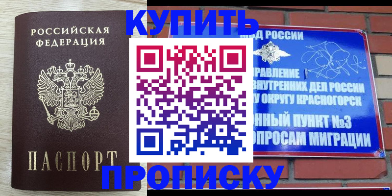 прописка гарантия в Острогожске
